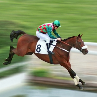 responsive website horse race