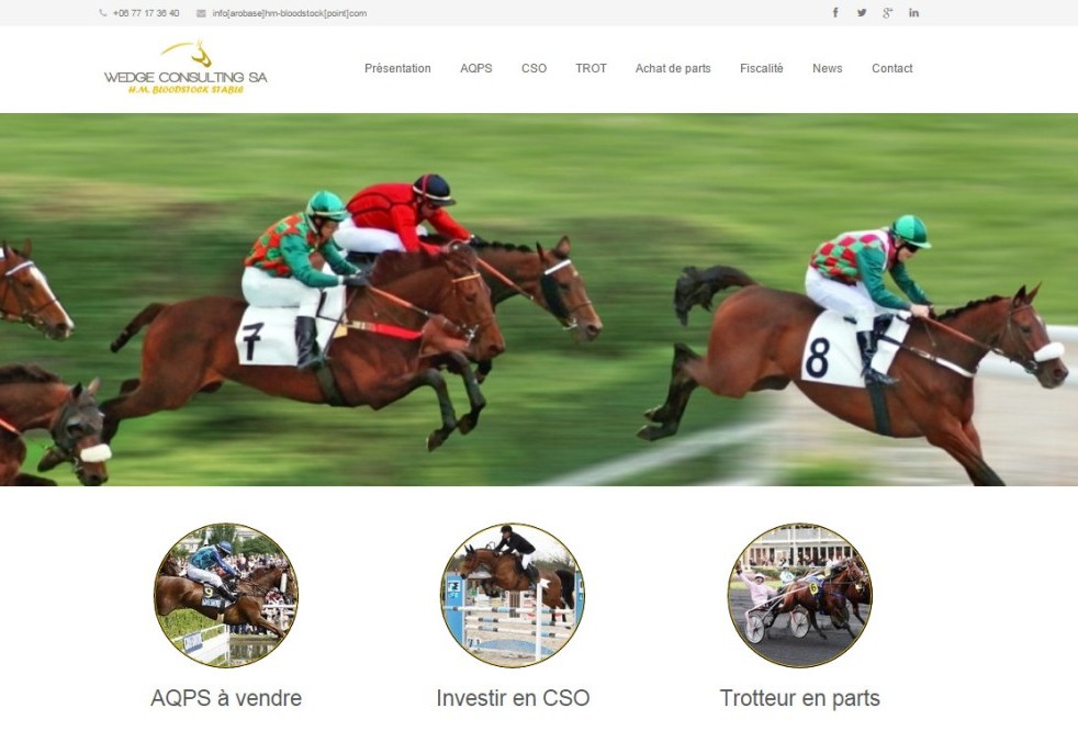 responsive website horse racing